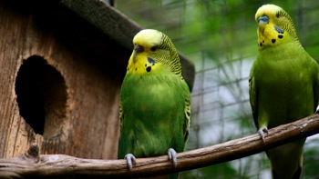 IMG_2699